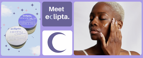 Digital Storefront Expansion with Eclipta