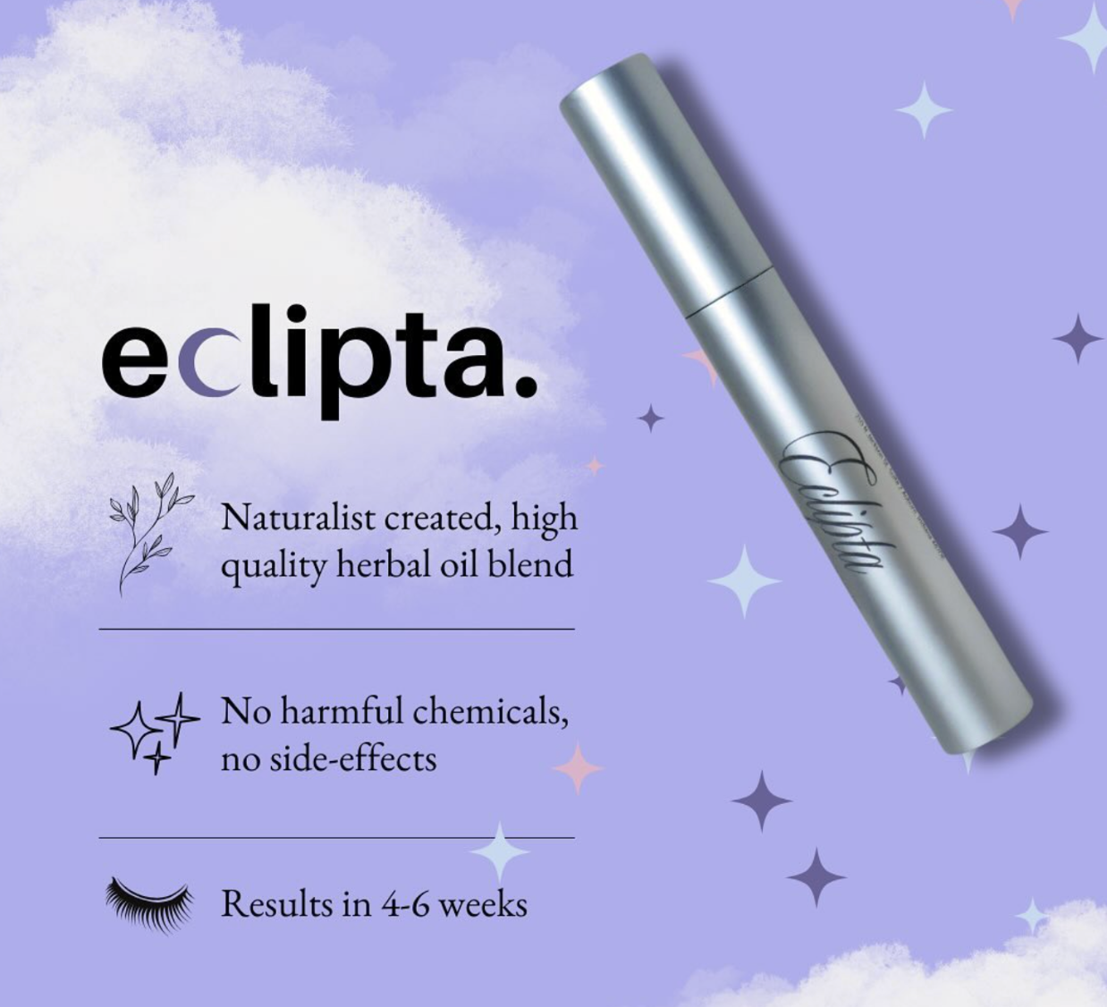 About Eclipta